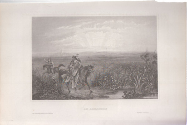 Am Arkansas (Arkansasban, Arkansas megye, USA, szak-Amerika) (16x23,5 cm mret eredeti aclmetszet, 1856-bl)