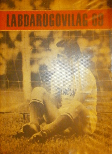 Labdargvilg 69