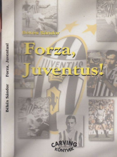 Bks Sndor - Forza, Juventus