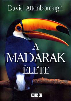 A madarak lete