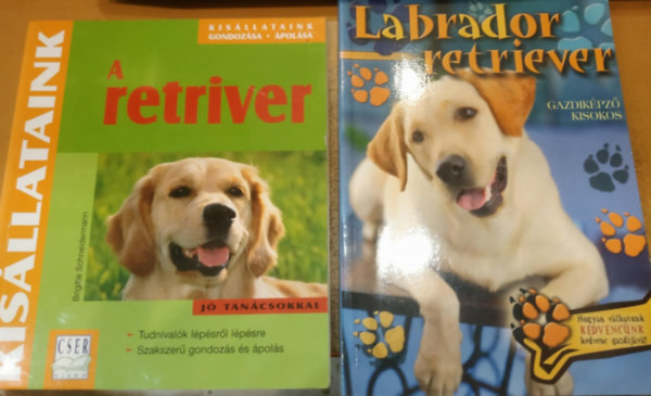 2 db A retriver (Kisllataink) + Labrador retriever (Gazdikpz kisokos)