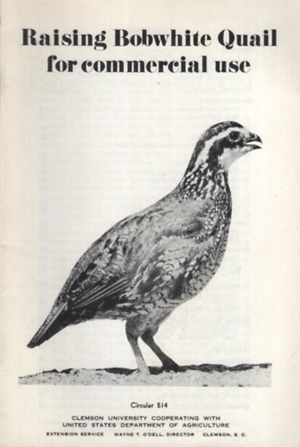 Raising Bobwhite Quail for commercial use