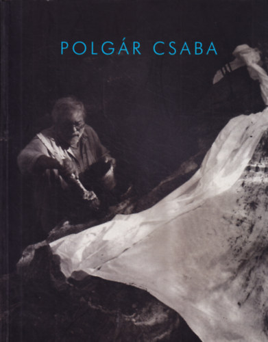 Polgr Csaba - Hatresetek