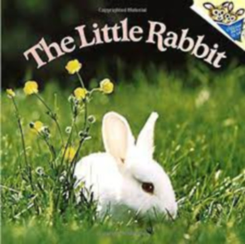 The Little Rabbit