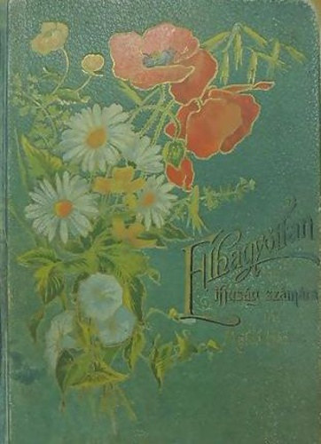 Elhagyottan. Regny az ifjsg szmra