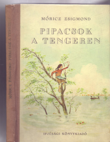 Pipacsok a tengeren (Friedrich G�bor rajzaival)