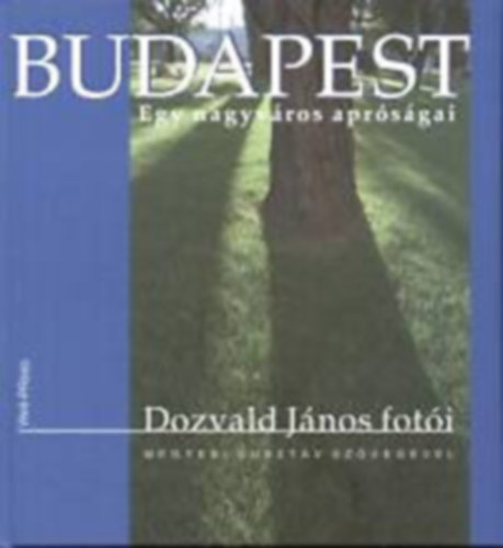 Budapest: Egy nagyvros aprsgai