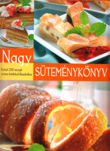 Nagy stemnyknyv - Kzel 250 recept sznes fotkkal illusztrlva
