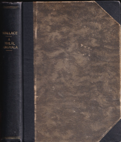 A hal�l angyala