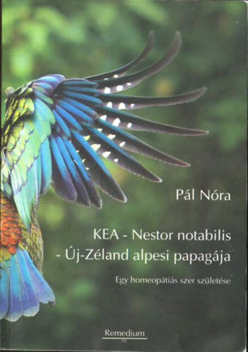 KEA - Nestor notabilis - j-Zland alpesi papagja