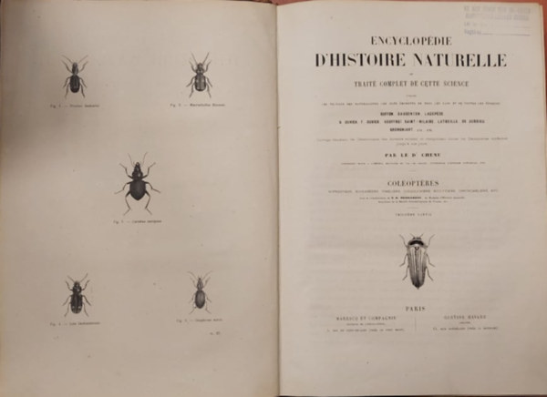 Enciclopdie  D'historie Naturelle - Termszetrajzi enciklopdia - Rovartan francia nyelven