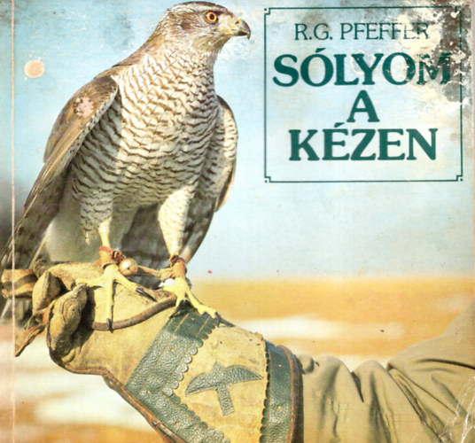 Slyom a kzen