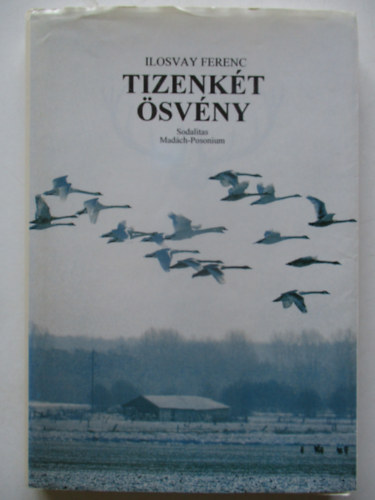 Ilosvay Ferenc - Tizenk�t �sv�ny (Egy vad�sz�v reg�nye)