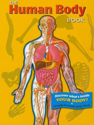 Bargain Price - The Human Body Book - With 4 Acetate Body Charts