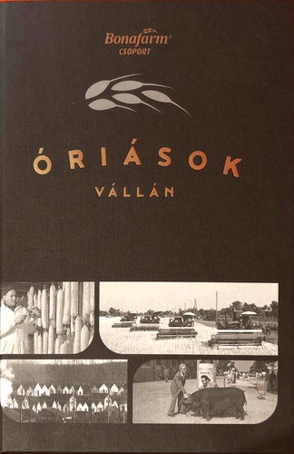 risok vlln