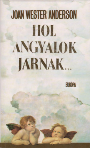 Joan Wester Anderson - Hol angyalok j�rnak... IGAZ T�RT�NETEK �GI L�TOGAT�KR�L