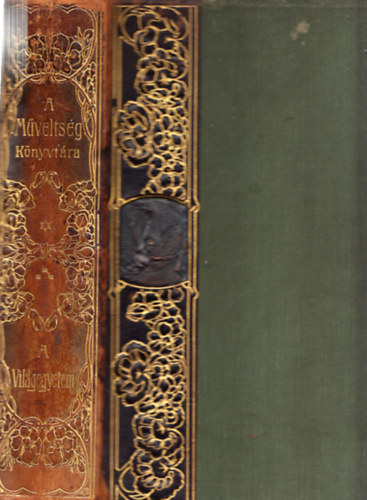 A vilgegyetem (A mveltsg knyvtra)