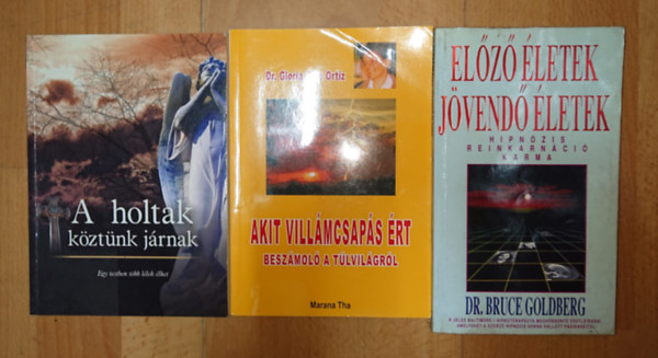 Bruce Goldberg Marana Tha - 3 könyv a túlvilágról: A holtak köztünk jártunk, Akit villámcsapás érrt - beszámoló aa túlvilágról, Előző életek, jövendő életek