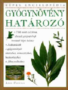 Gygynvnyhatroz