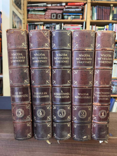 Magyar m�vel�d�st�rt�net I-V.