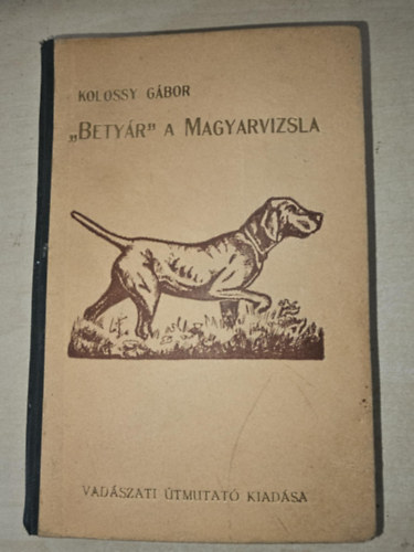 "Betyr" a magyarvizsla