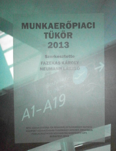 Munkaerpiaci tkr 2013