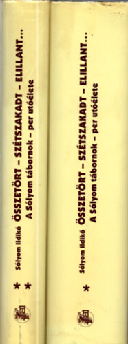 S�lyom Ildik� - �sszet�rt-sz�tszakadt-elillant... I-II.