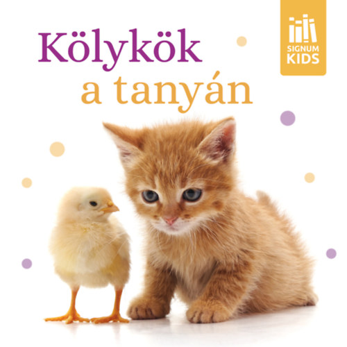 K�lyk�k a tany�n