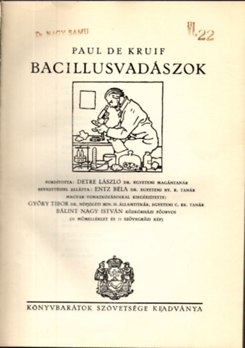 Bacillusvadszok