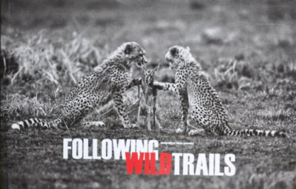 Following Wild Trails