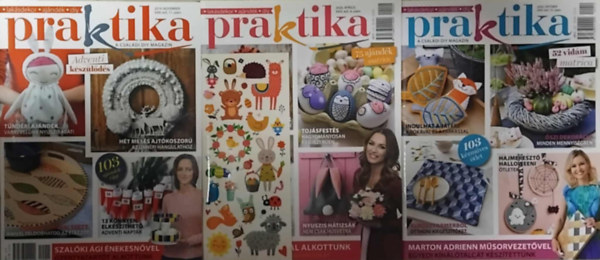 Praktika - A csaldi DIY magazin ( 3 db )