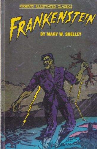 Frankenstein (Regents Illustrated Classics) (angol nyelv kpregny)
