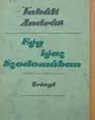 Tabk Andrs - Egy igaz Szodomban