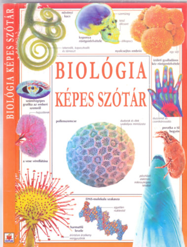Biolgia kpes sztr