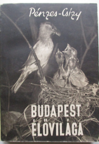 Budapest lvilga