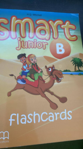 Smart Junior B - Flashcards