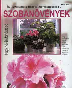 szoban�v�nyek