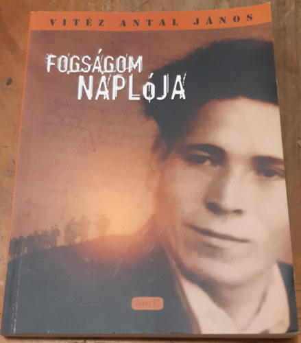 Fogs�gom napl�ja