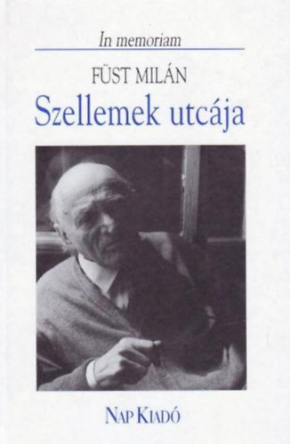 Szellemek utcja (In memoriam Fst Miln)