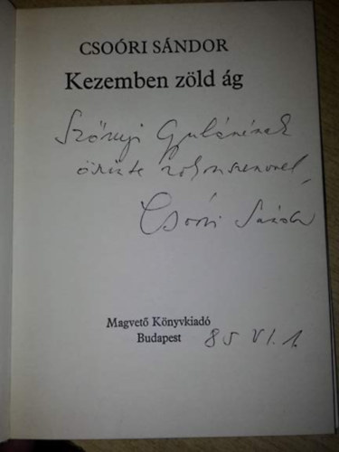 Kezemben zld g
