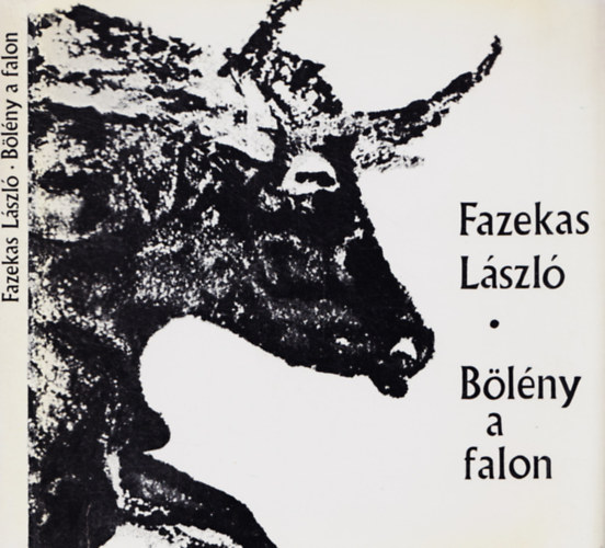 Fazekas L�szl� - B�l�ny a falon
