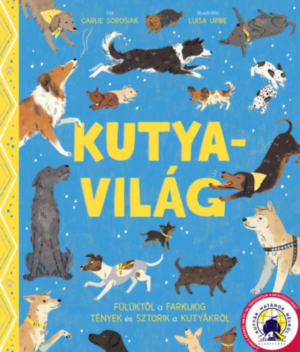 Kutyavilg