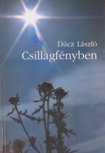 Csillagfnyben