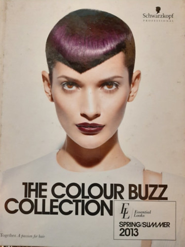 The Colour Buzz Collection - Essential Looks Spring/Summer 2013