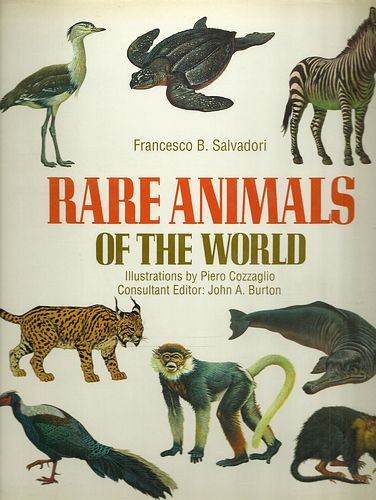 Rare Animals of the World