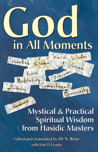 God in All Moments: Mystical & Practical Spiritual Wisdom from Hasidic Masters (Jewish Lights Publishing)