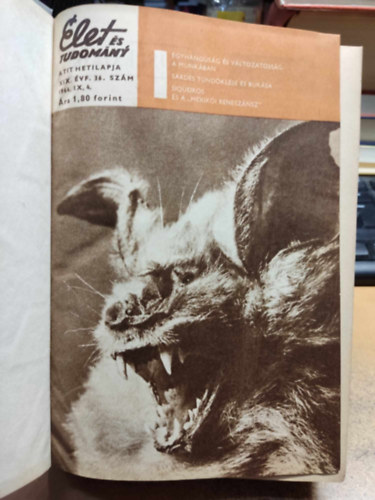 �let �s Tudom�ny 1964 �vfolyamb�l 18 db lapsz�m