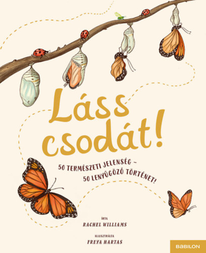 L�ss csod�t!