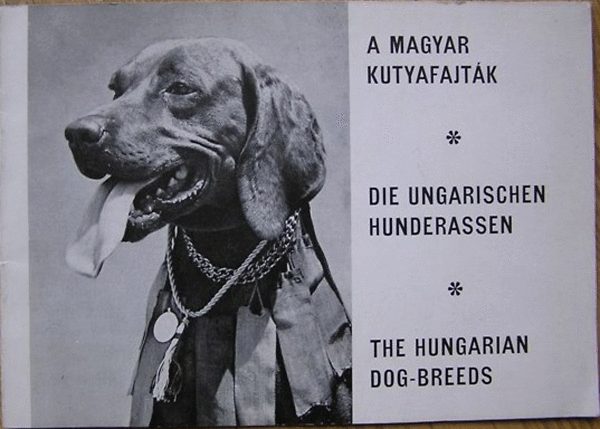 A magyar kutyafajtk - Die ungarischen Hunderassen - The hungarian dog