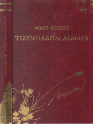 Tizenhrom almafa (dszkiads)